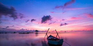 Jaki kolor wycisza?