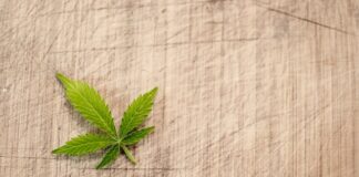 Jaka jest kara za brak legalizacji butli LPG?