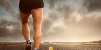 Jaki sprzęt do cardio?