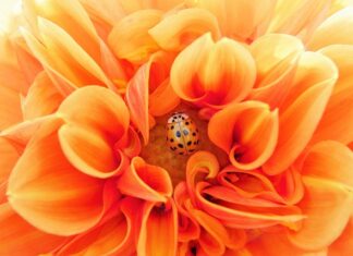 Kiedy komunikacja jest efektywną? Kiedy komunikacja jest efektywną?