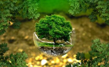 Od czego rosną biodra?