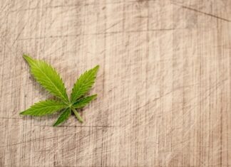 Ile kosztuje legalizacja małej butli CO2? Ile kosztuje legalizacja małej butli CO2?