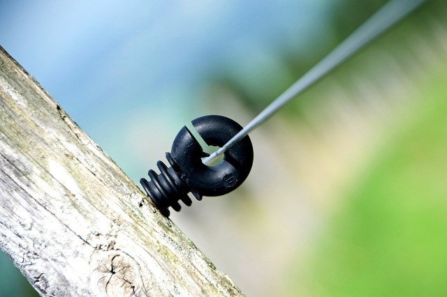 Jak nazywano Polaków na Ukrainie? Jak nazywano Polaków na Ukrainie?