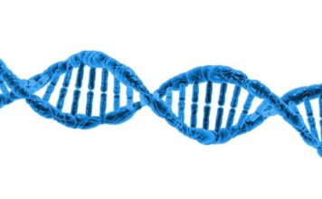 Co to znaczy helix? Co to znaczy helix?