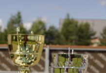 Minimalizm w szklanych statuetkach z grawerem – dlaczego mniej formy daje więcej emocji? szklane statuetki z grawerem